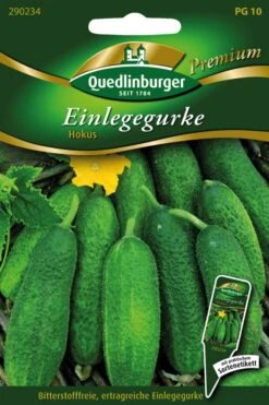 Einlegegurke Hokus | Einlegegurkensamen Von Quedlinburger