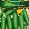 Mini-Snackgurken Picolino | Minigurkensamen Von Quedlinburger -Compoes Verkaufe 531946 Mini Snackgurken Picolino von Quedlinburger