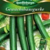 Gewächshausgurke Marumba F1 | Gurkensamen Von Quedlinburger -Compoes Verkaufe 531949 Gewaechshausgurken Marumba von Quedlinburge