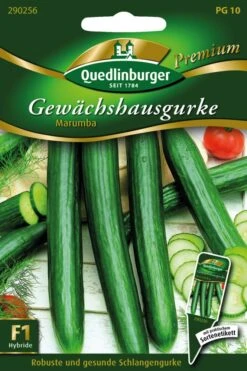 Gewächshausgurke Marumba F1 | Gurkensamen Von Quedlinburger