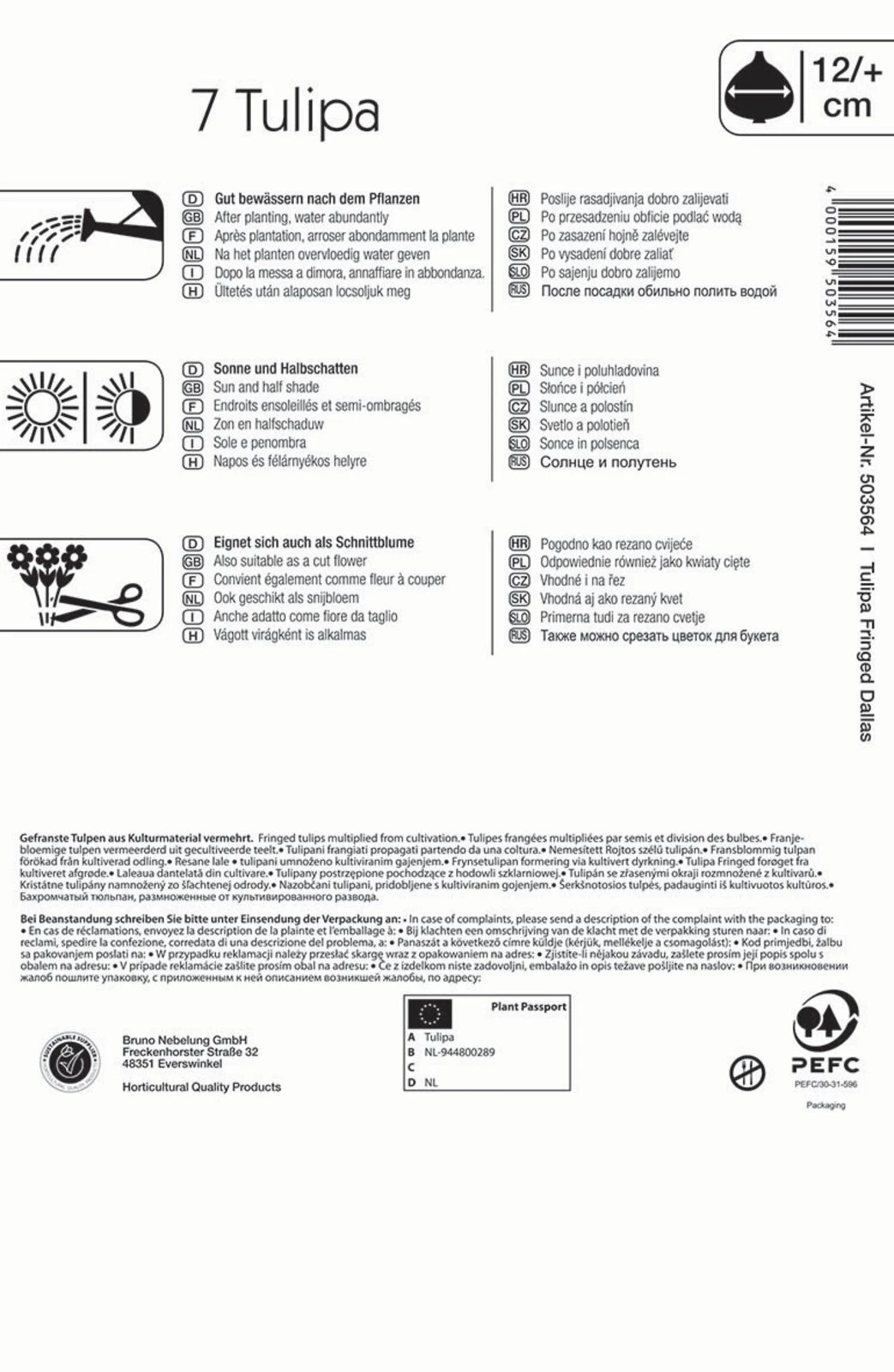 Gefranste Tulpe Dallas (7 Stück) | Tulpenzwiebeln Von Kiepenkerl 3 Gefranste Tulpe Dallas (7 Stück) | Tulpenzwiebeln Von Kiepenkerl