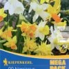 Mega-Pack Steingarten Narzissen Mischung (20 Stück) | Narzissenzwiebeln Von Kiepenkerl -Compoes Verkaufe 533583 Mega Pack Steingarten Narzissen Mischung 20 Stueck 507036 0
