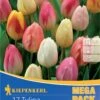 Mega-Pack Triumph-Tulpe Pastell Farbenspiel (17 Stück) | Tulpenzwiebeln Von Kiepenkerl -Compoes Verkaufe 533595 Mega Pack Triumph Tulpe Pastell Farbenspiel 17 Stueck 508514 0