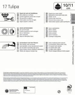 Mega-Pack Triumph-Tulpe Pastell Farbenspiel (17 Stück) | Tulpenzwiebeln Von Kiepenkerl -Compoes Verkaufe 533595 Mega Pack Triumph Tulpe Pastell Farbenspiel 17 Stueck 508514 1