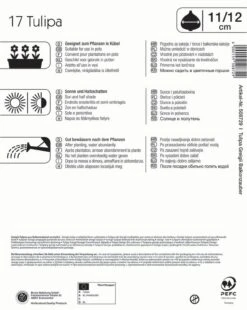 Mega-Pack Botanische Tulpe Balkonzauber Mischung (17 Stück) | Tulpenzwiebeln Von Kiepenkerl