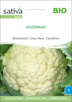 Blumenkohl Goodman | BIO Blumenkohlsamen Von Sativa Rheinau -Compoes Verkaufe 534352 BIO Blumenkohl Goodman ko16 sr 0