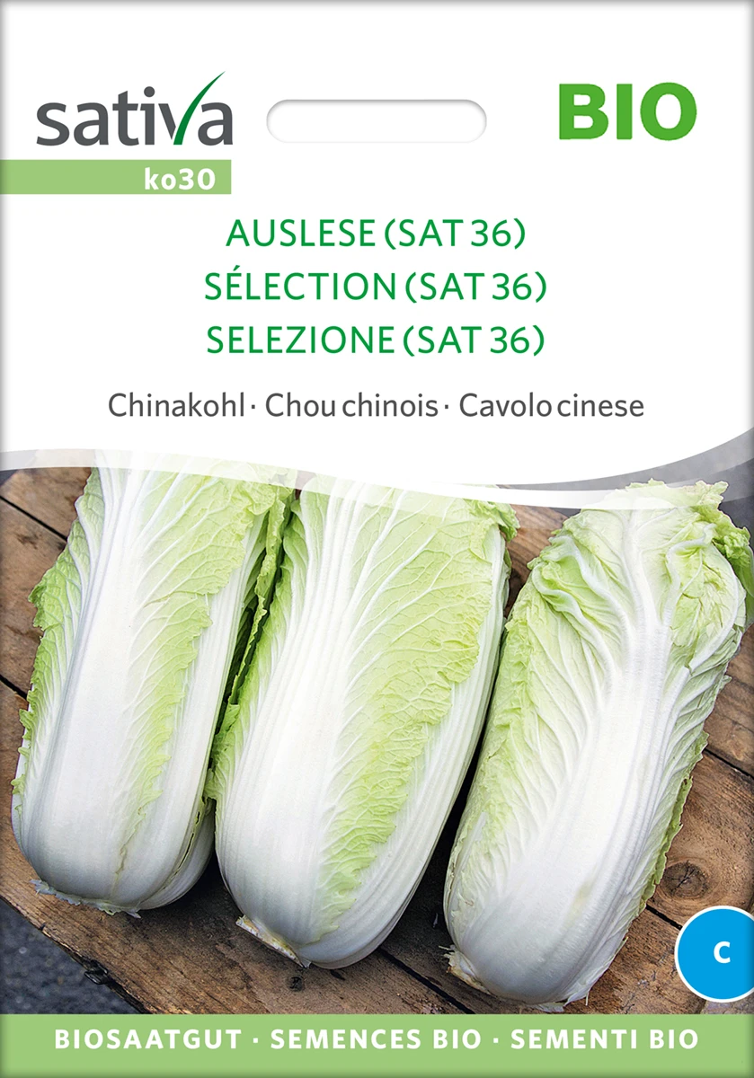 Chinakohl Auslese | BIO Chinakohlsamen Von Sativa Rheinau 4 Chinakohl Auslese | BIO Chinakohlsamen Von Sativa Rheinau – Bild 2