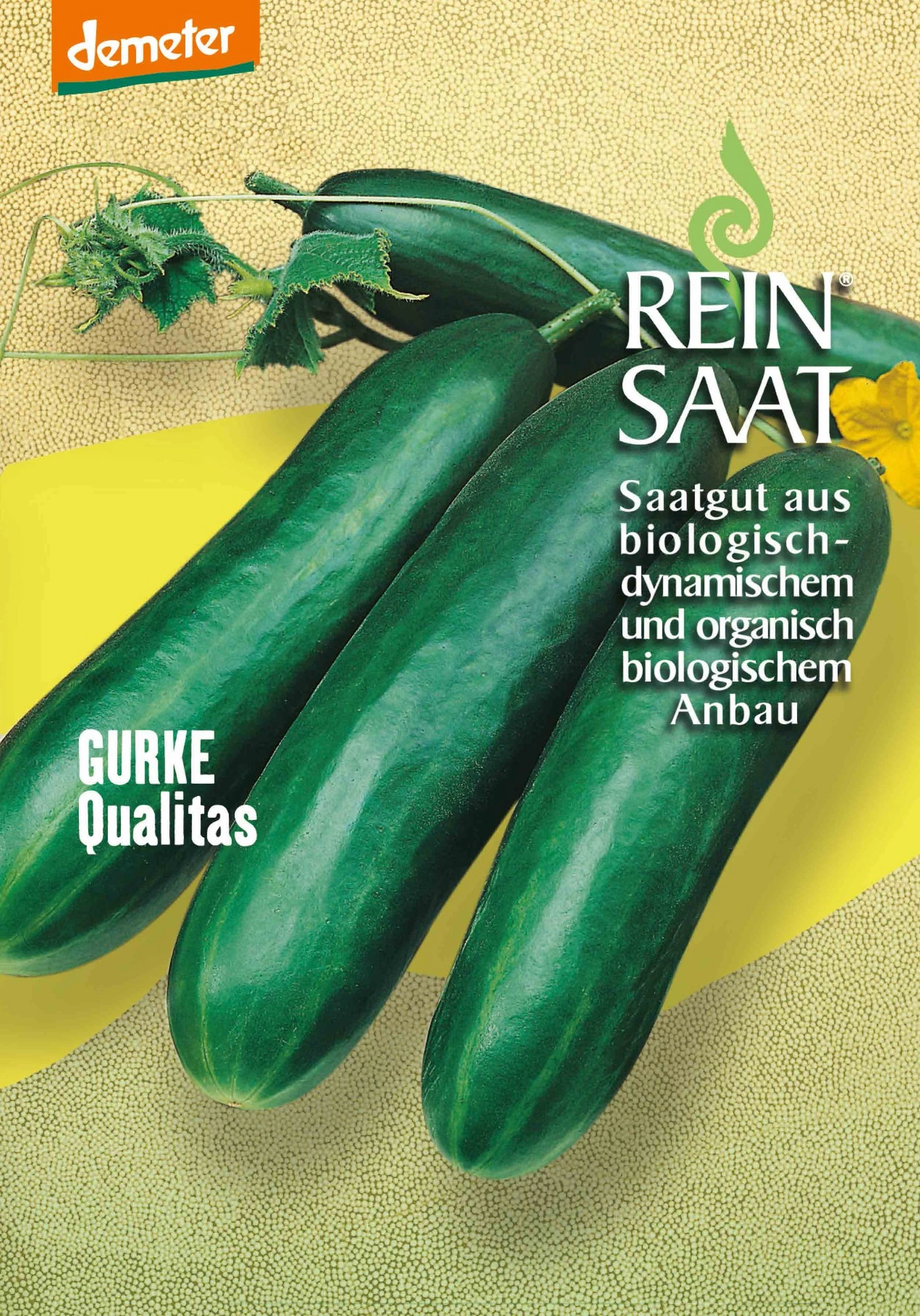 Salatgurke Qualitas | BIO Salatgurkensamen Von Reinsaat 3 Salatgurke Qualitas | BIO Salatgurkensamen Von Reinsaat