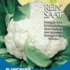Blumenkohl Neckarperle | BIO Blumenkohlsamen Von Reinsaat -Compoes Verkaufe 535767 BIO Blumenkohl Neckarperle Ko30 rs 0