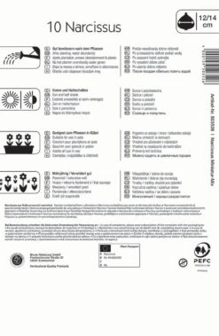 Narzisse Miniatur-Mischung (10 Stück) | Narzissenzwiebeln Von Kiepenkerl