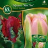 Combipack Tulpenmix &quot;Rote Töne&quot; Rococo &amp; Groenland (5 Stück) | Tulpenzwiebeln Von Quedlinburger -Compoes Verkaufe 539685 Combipack Tulpenmix Rote Toene Rococo und Groenland 10 Stueck 309701 qb 0