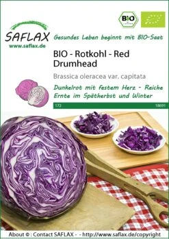 Rotkohl Red Drumhead | BIO Rotkohlsamen Von Saflax