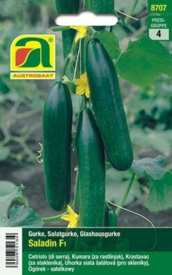 Compoes Verkaufe -Compoes Verkaufe 543064 Glashausgurke Saladin F1
