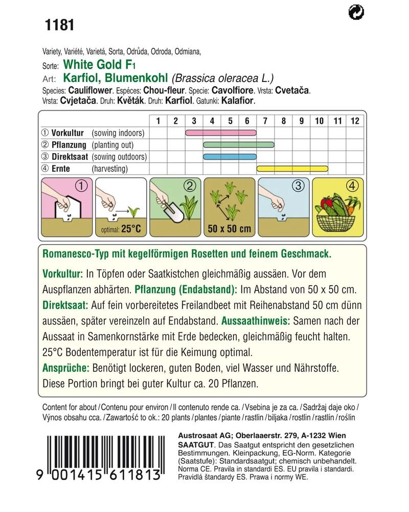 Karfiol White Gold F1 (Romanesco) | Romanescosamen Von Austrosaat 4 Karfiol White Gold F1 (Romanesco) | Romanescosamen Von Austrosaat – Bild 2