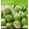 Rosenkohl Topline F1 | Rosenkohlsamen Von Buzzy Seeds [MHD 07/2024] -Compoes Verkaufe 544732 Buzzy Rosenkohl Topline F1