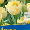 Gefüllte Frühe Tulpe Verona (10 Stück) | Tulpenzwiebeln Von Kiepenkerl -Compoes Verkaufe 549341 Gefuellte fruehe Tulpe Verona 10 Stueck 504615 0