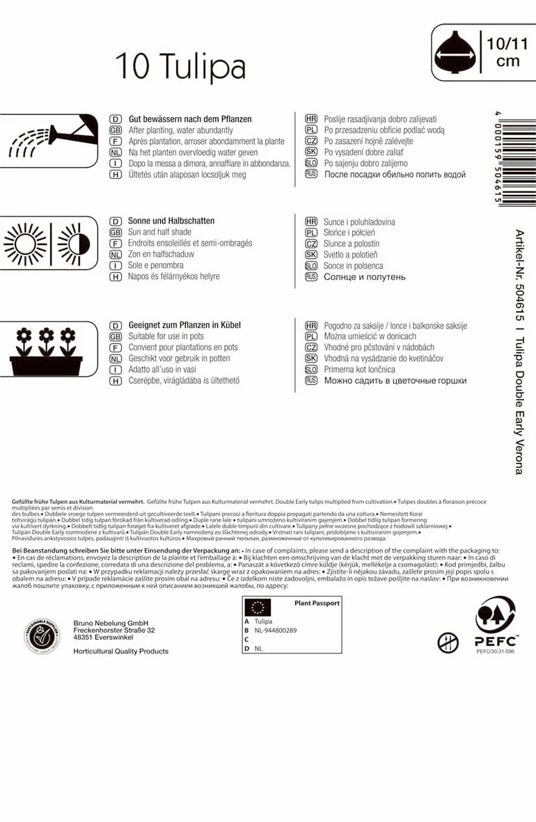 Gefüllte Frühe Tulpe Verona (10 Stück) | Tulpenzwiebeln Von Kiepenkerl 4 Gefüllte Frühe Tulpe Verona (10 Stück) | Tulpenzwiebeln Von Kiepenkerl – Bild 2