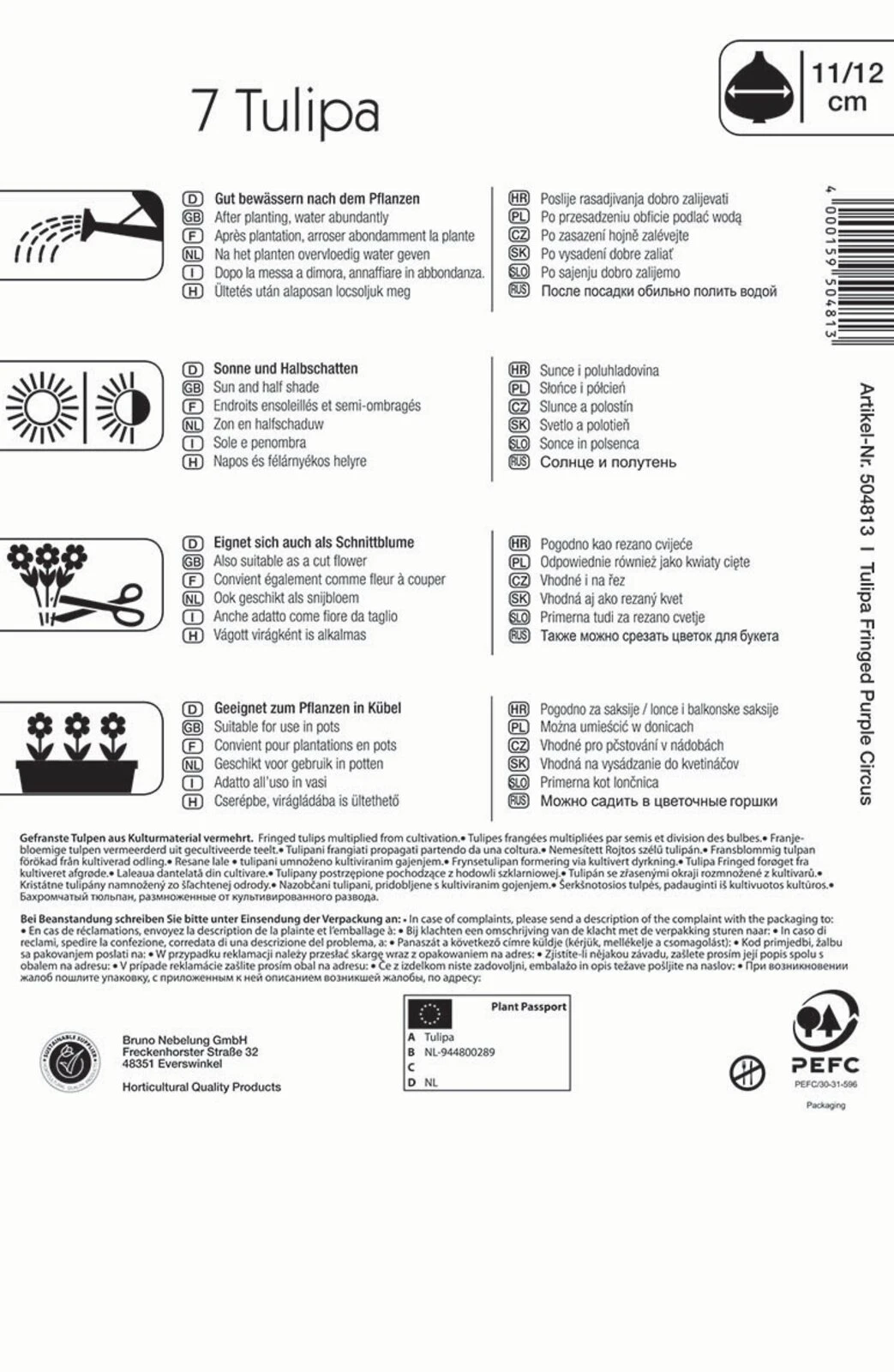 Gefranste Tulpe Purple Circus (7 Stück) | Tulpenzwiebeln Von Kiepenkerl 3 Gefranste Tulpe Purple Circus (7 Stück) | Tulpenzwiebeln Von Kiepenkerl