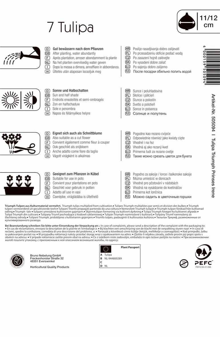Triumphtulpe Prinses Irene (7 Stück) | Tulpenzwiebeln Von Kiepenkerl 3 Triumphtulpe Prinses Irene (7 Stück) | Tulpenzwiebeln Von Kiepenkerl