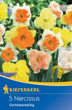 Narzissenmischung Orchideenblütige Mischung (5 Stück) | Narzissenzwiebeln Von Kiepenkerl