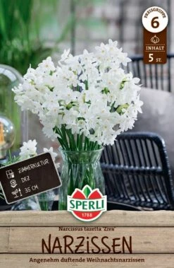Narzisse Ziva (5 Stück) | Narzissenzwiebeln Von Sperli