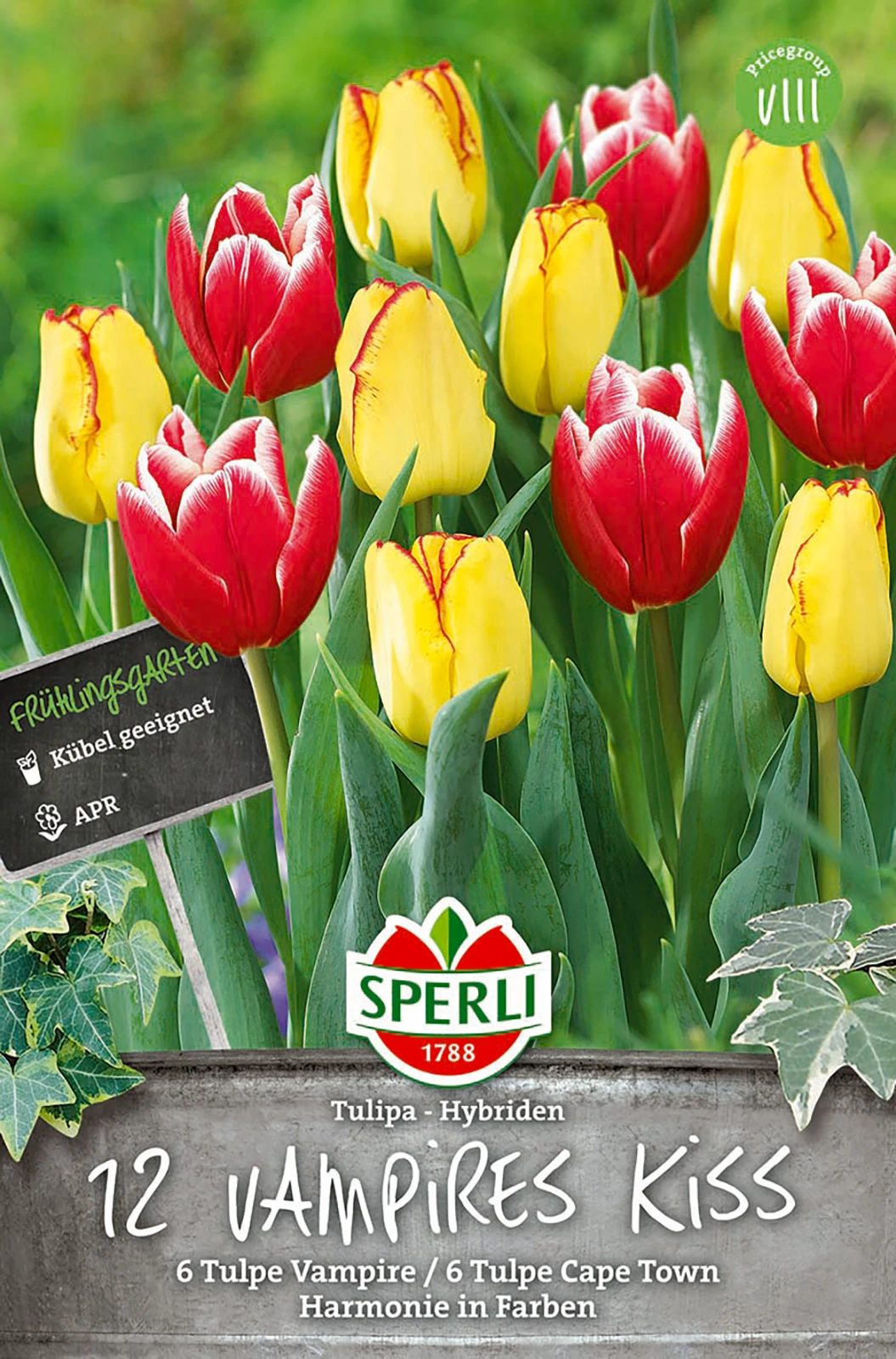 Frühlingsgarten Vampires Kiss (12 Stück) | Triumph-Tulpen Von Sperli 3 Frühlingsgarten Vampires Kiss (12 Stück) | Triumph-Tulpen Von Sperli