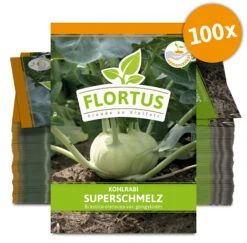 Kohlrabi Superschmelz (100 Stück) | Kohlrabisamen Von FLORTUS -Compoes Verkaufe 549856 Kohlrabi Superschmelz 100 Stueck 2000 0473 100x 0
