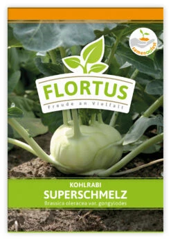 Kohlrabi Superschmelz (100 Stück) | Kohlrabisamen Von FLORTUS -Compoes Verkaufe 549856 Kohlrabi Superschmelz 100 Stueck 2000 0473 100x 1