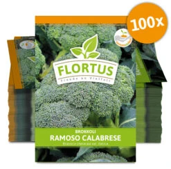Brokkoli Ramoso Calabrese (100 Stück) | Brokkolisamen Von FLORTUS -Compoes Verkaufe 549858 Brokkoli Ramoso Calabrese 100 Stueck 2000 0475 100x 0