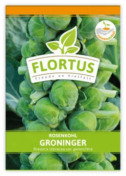 Rosenkohl Groninger (100 Stück) | Rosenkohlsamen Von FLORTUS -Compoes Verkaufe 549860 Rosenkohl Groninger 100 Stueck 2000 0477 100x 1