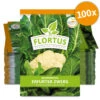 Blumenkohl Erfurter Zwerg (100 Stück) | Blumenkohlsamen Von FLORTUS -Compoes Verkaufe 549866 Blumenkohl Erfurter Zwerg 100 Stueck 2000 0483 100x 0