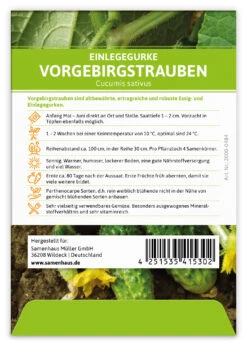 Einlegegurke Vorgebirgstrauben (100 Stück) | Einlegegurkensamen Von FLORTUS -Compoes Verkaufe 549867 Einlegegurke Vorgebirgstrauben 100 Stueck 2000 0484 100x 2