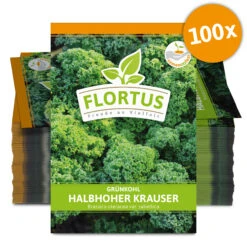 Grünkohl Halbhoher Krauser (100 Stück) | Grünkohlsamen Von FLORTUS -Compoes Verkaufe 549878 Gruenkohl Halbhoher Krauser 100 Stueck 2000 0495 100x 0