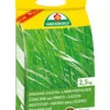 Langzeit Rasendünger (2,5 Kg) | Rasendünger Von ASB Greenworld -Compoes Verkaufe 550435 Langzeit Rasenduenger 2 5 kg 313515 asb 0