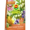 Mediterrane Pflanzen Langzeit-Dünger (1,5 Kg) | Dünger Von COMPO 1 Mediterrane Pflanzen Langzeit-Dünger (1,5 Kg) | Dünger Von COMPO -Compoes Verkaufe 551053 mediterrane Pflanzen Langzeit Duenger 1 5 kg 2589702004 co 0