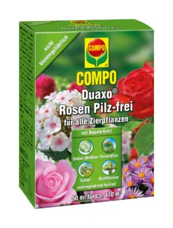 Rosen Pilz-frei (50 Ml) | Pflanzenschutz Von COMPO
