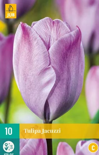 Tulpe Jacuzzi (10 Stück) | Tulpenzwiebeln Von Jub Holland 3 Tulpe Jacuzzi (10 Stück) | Tulpenzwiebeln Von Jub Holland