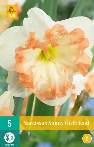 Narzisse Sunny Girlfriend (5 Stück) | Narzissenzwiebeln Von Jub Holland 3 Narzisse Sunny Girlfriend (5 Stück) | Narzissenzwiebeln Von Jub Holland