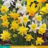 Narzisse Botanisch Mix (10 Stück) | Narzissenzwiebeln Von Jub Holland -Compoes Verkaufe 559792 Narzisse Botanisch Mix 10 Stueck 307040 jb 0