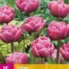 Tulpe Double Lilac (15 Stück) | Tulpenzwiebeln Von Jub Holland -Compoes Verkaufe 559946 Tulpe Double Lilac 15 Stueck 322394 jb 0