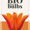 Tulpe Ballerina (7 Stück) | BIO Tulpenzwiebeln Von Jub Holland 1 Tulpe Ballerina (7 Stück) | BIO Tulpenzwiebeln Von Jub Holland -Compoes Verkaufe 560034 BIO Tulpe Ballerina 10 Stueck 325100 jb 0