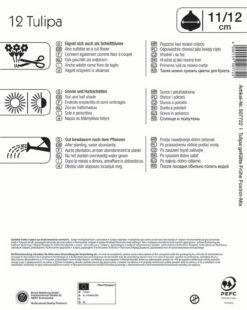 Gefüllte Frühe Tulpen Foxtrot Mischung (12 Stück) | Gefüllte Tulpen Von Kiepenkerl -Compoes Verkaufe 562135 Gefuellte Fruehe Tulpen Foxtrot Mischung 12 Stueck 507722 1